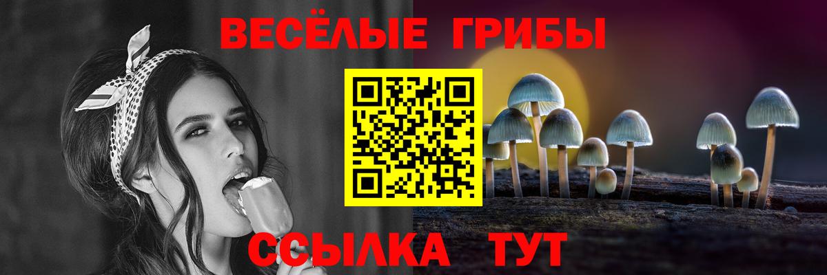 Ачинск  Галлюциногенные грибы MAGIC MUSHROOMS  Вход с VPN 